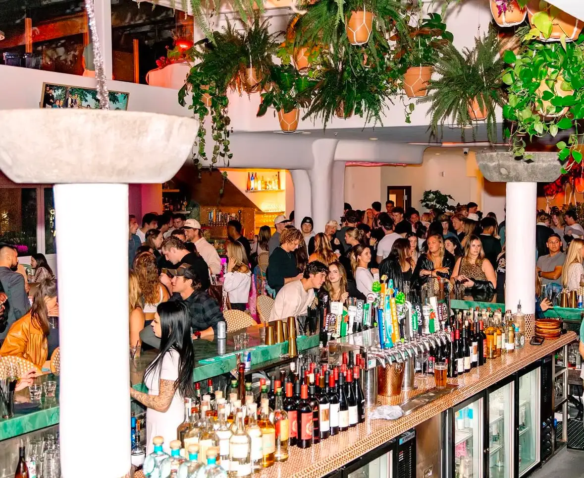 A wide view of a crowded bar with many bottles and plants.