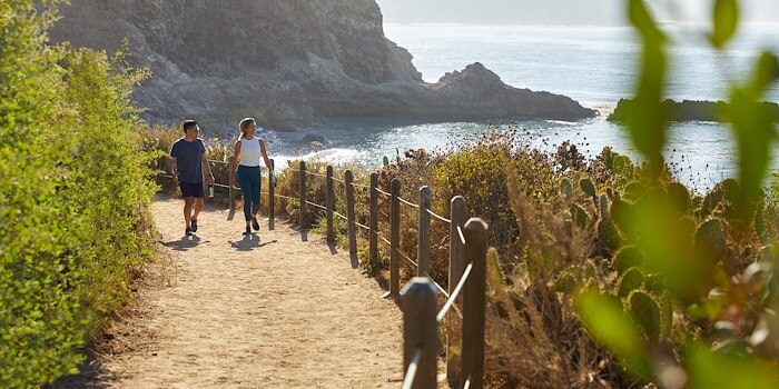 Bluff Top Trail