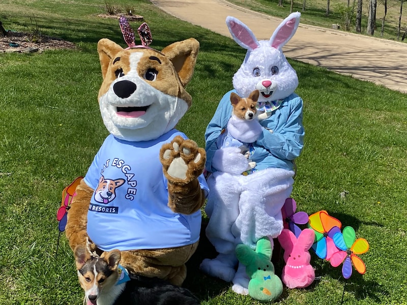 Biscuit the corgi mascot and Easter Bunny celebrating Easter in Branson MO with dogs and spring decorations at Great Escapes Camping & Cabins