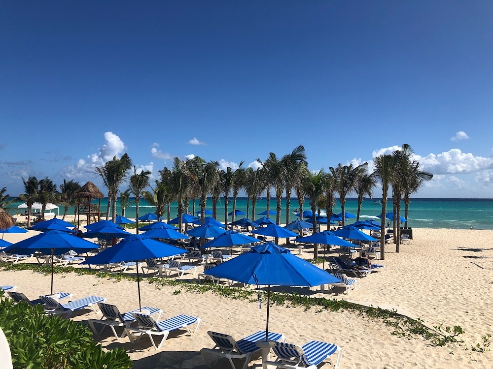 The Reef Resorts and Spa logo