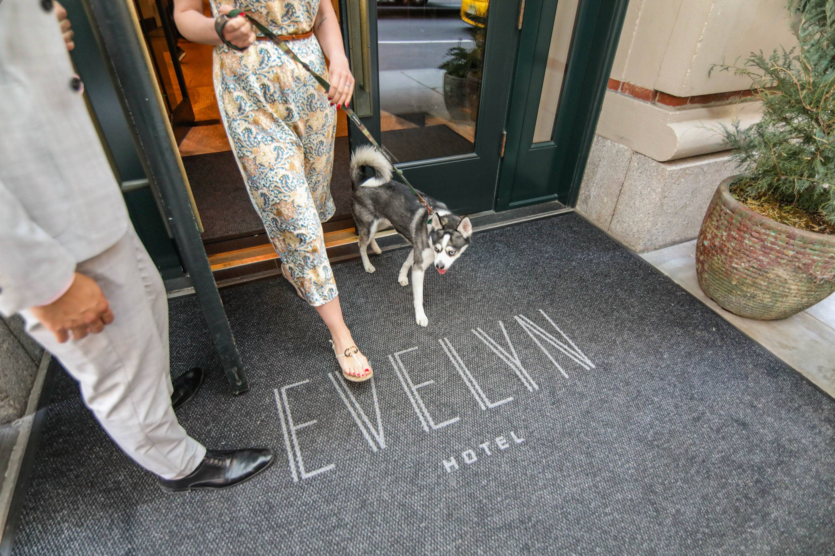 A woman and a dog entering the hotel