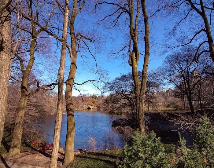 Central Park