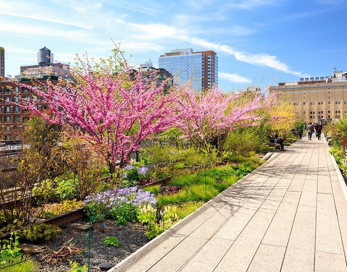 The High Line at New York