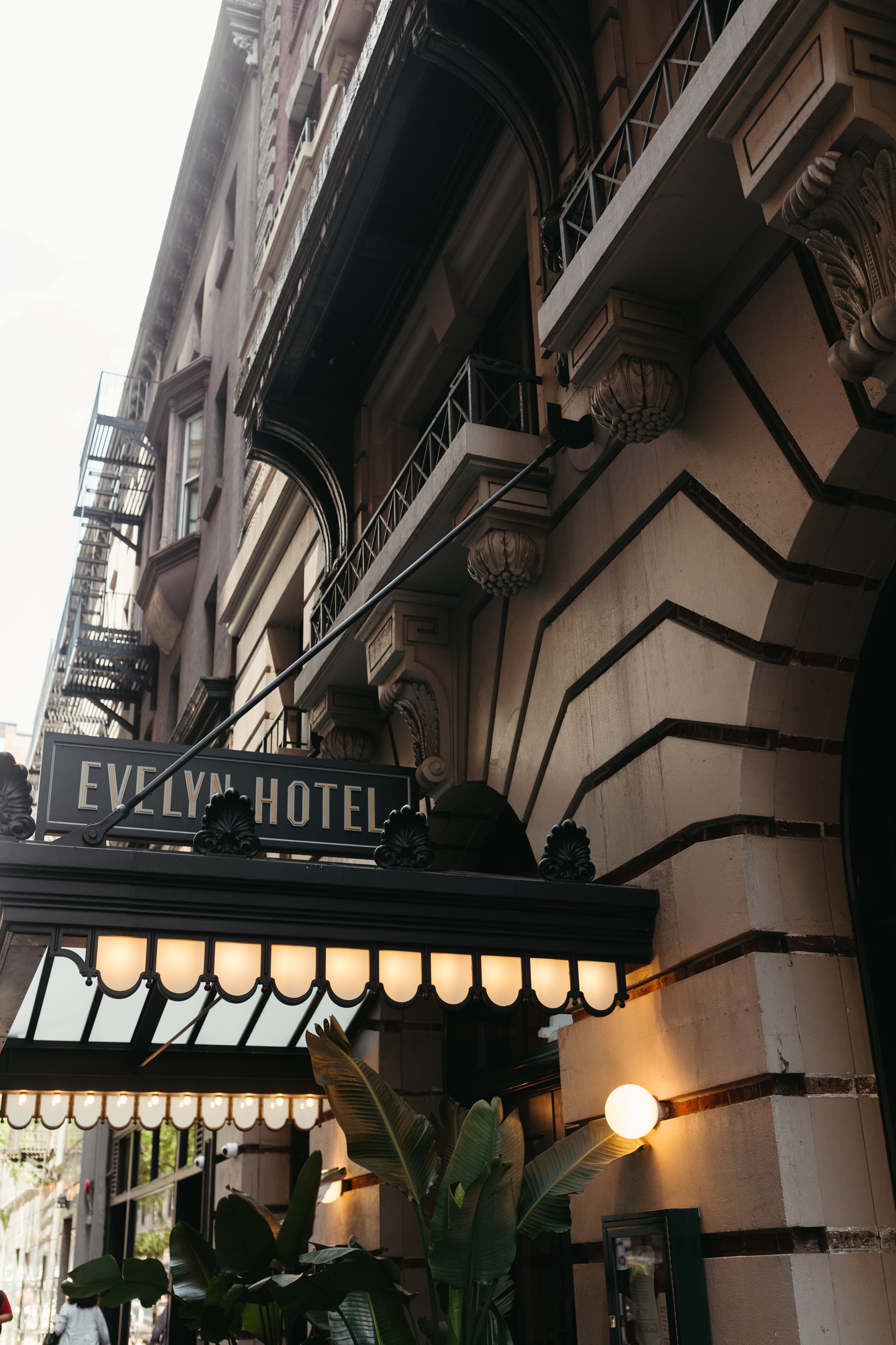 The Evelyn — photo 52 of 60