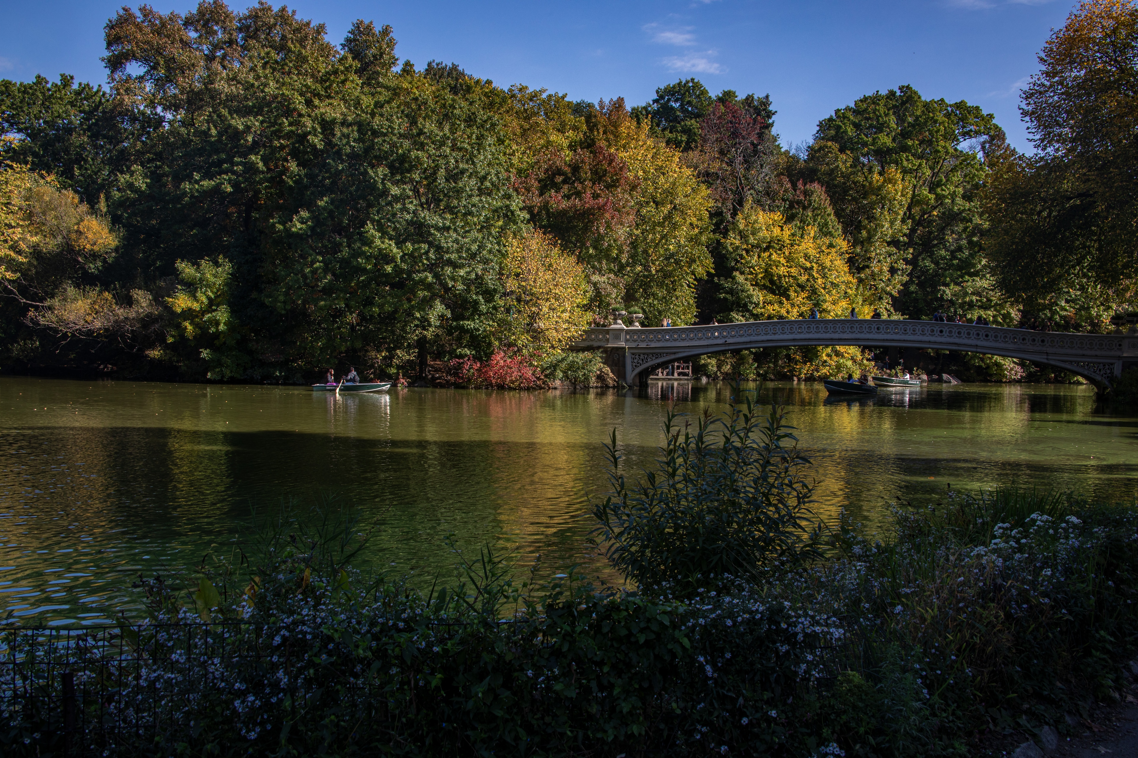 a lake with a bridge in the background