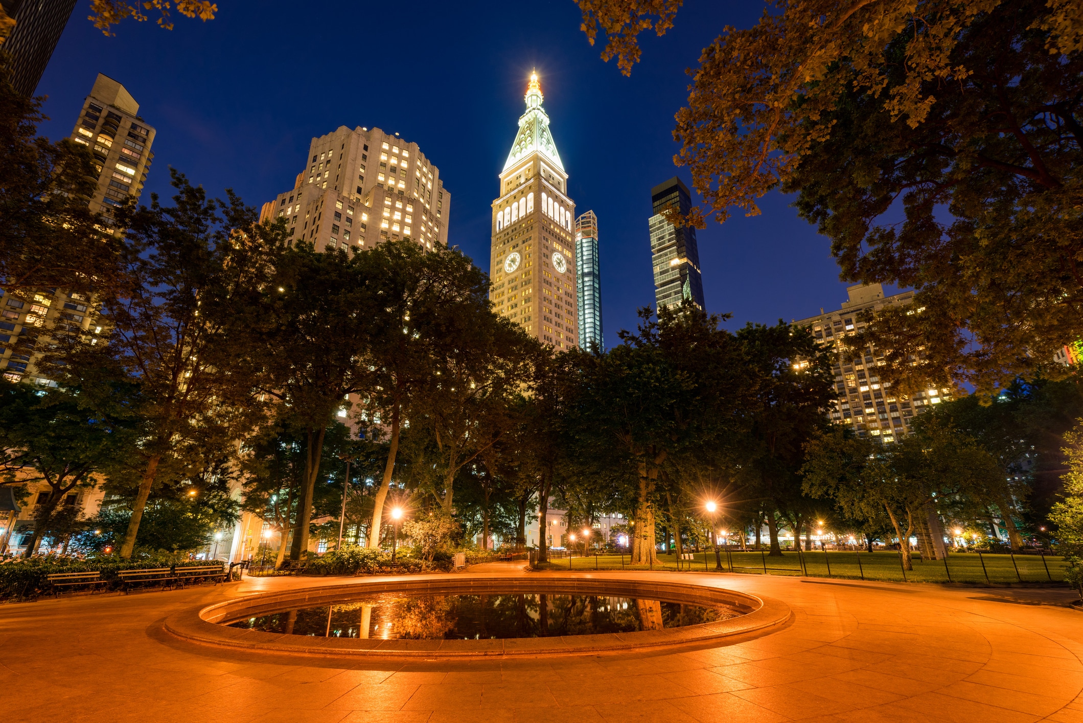 a city park at night with a fountain and trees, with a cityscape in the background