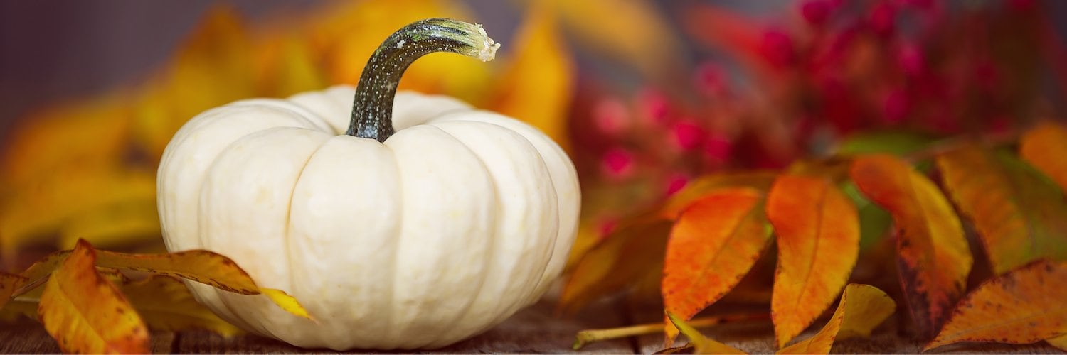 Thanksgiving Day