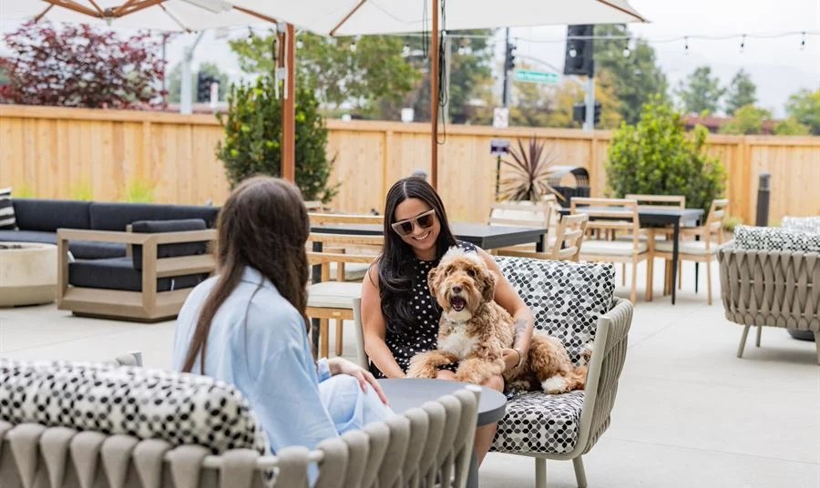 Puppy Enjoying Courtyard at Cambria Hotel Burbank Airport