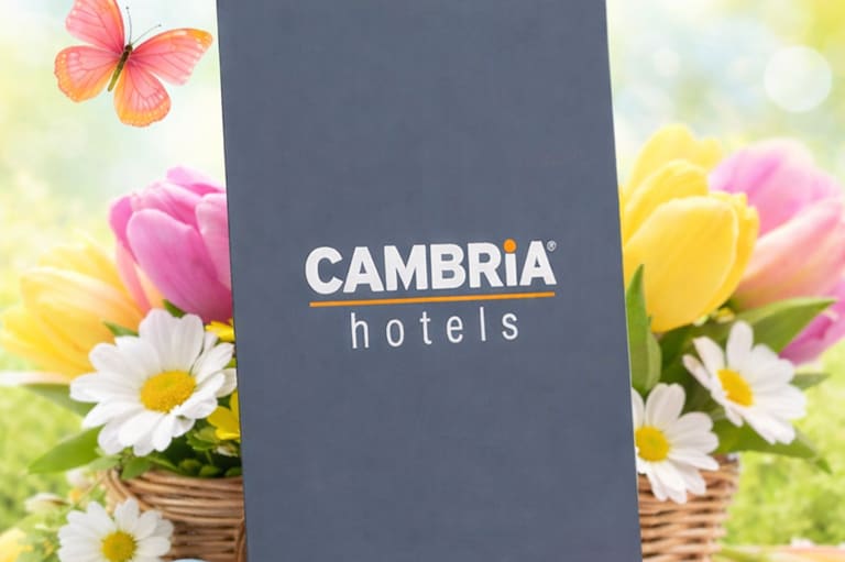 SPRING SAVINGS OFFER