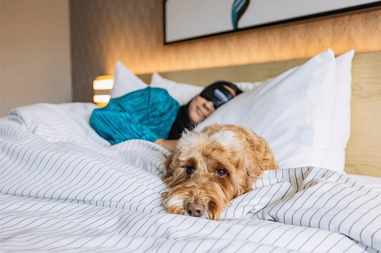 Pet-Friendly Stays in Burbank