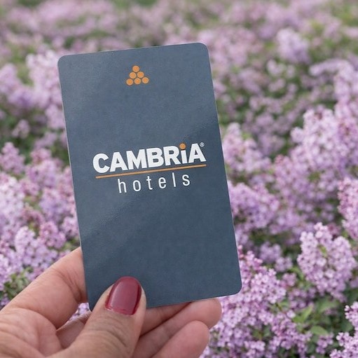 discount on spring travel in Calabasas