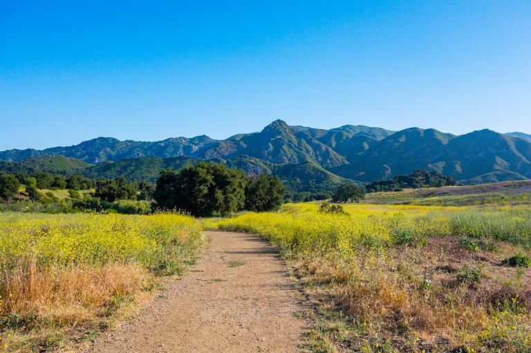 Malibu Creek State Park