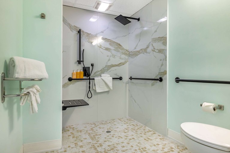 1 King Bed, 1 Bedroom Suite, 1-Person Sofabed