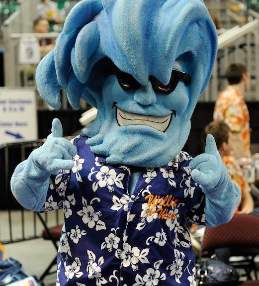 Willy the Wave