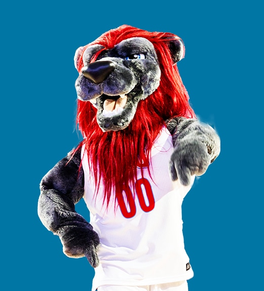 Lion Loan