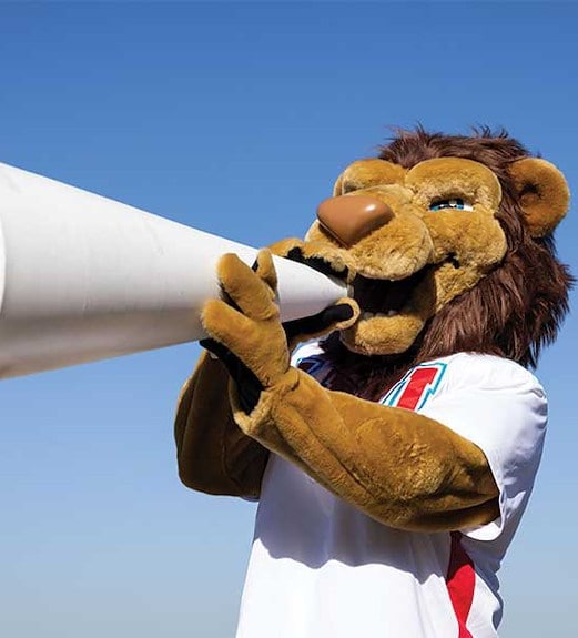 Lion Loan