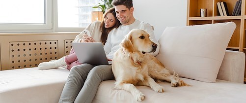 20-year repayment option