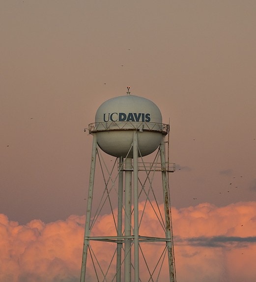 UC Davis water tower