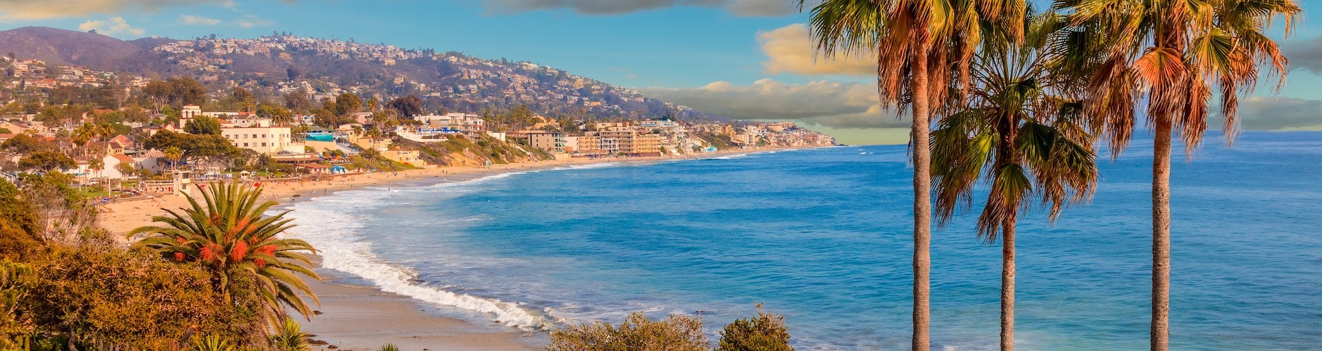 Palm trees overlooking a sunny beach and blue ocean in Southern California
