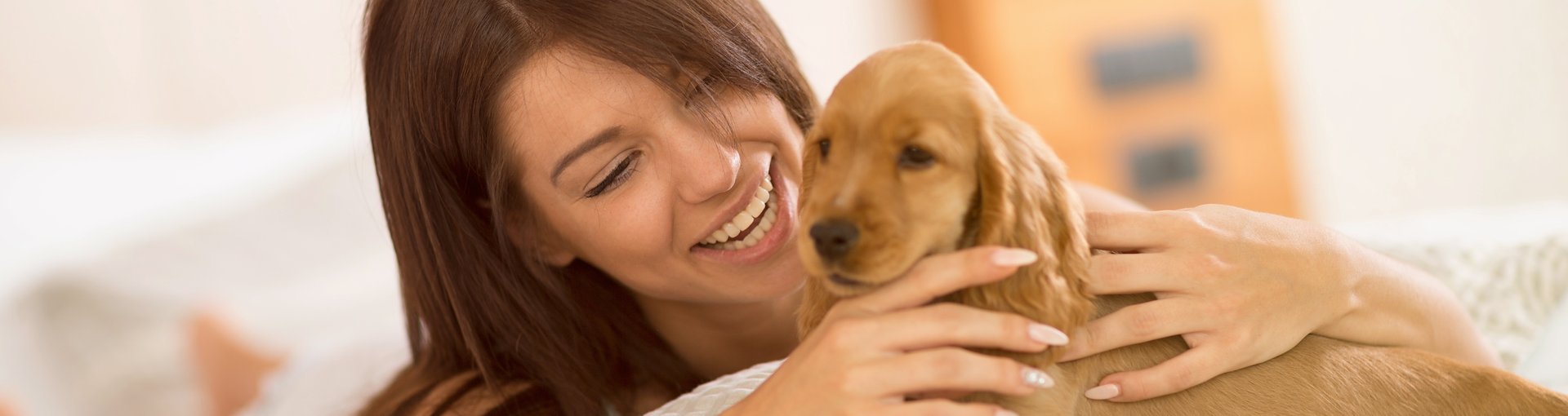 Pet-Friendly Hotels in California