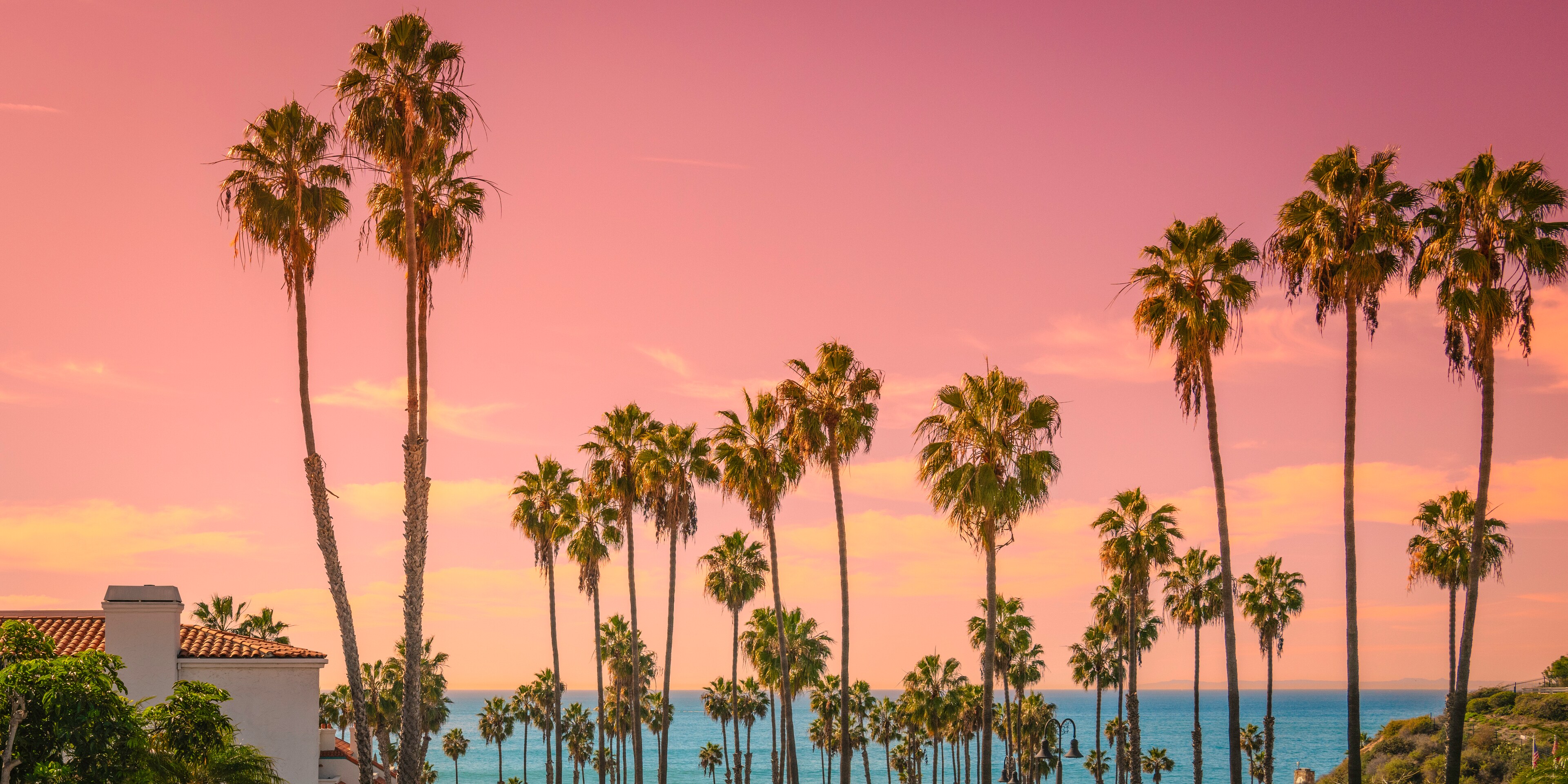 Tall Palm Trees And a Beach California