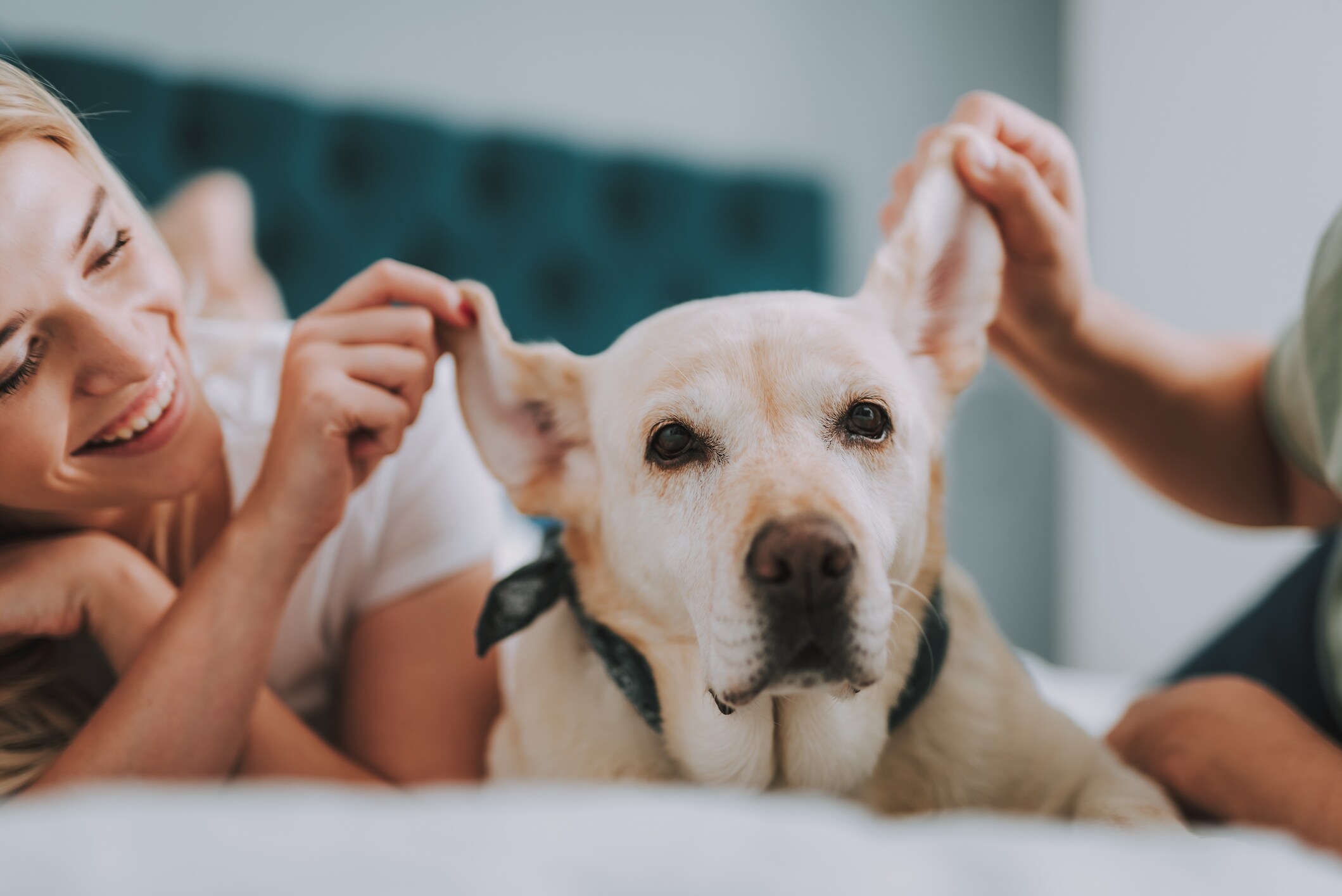 Couple Playing with pet at Bakersfield California