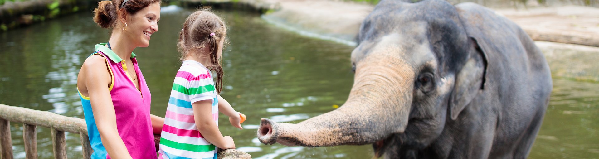 The Los Angeles Zoo and Botanical Gardens