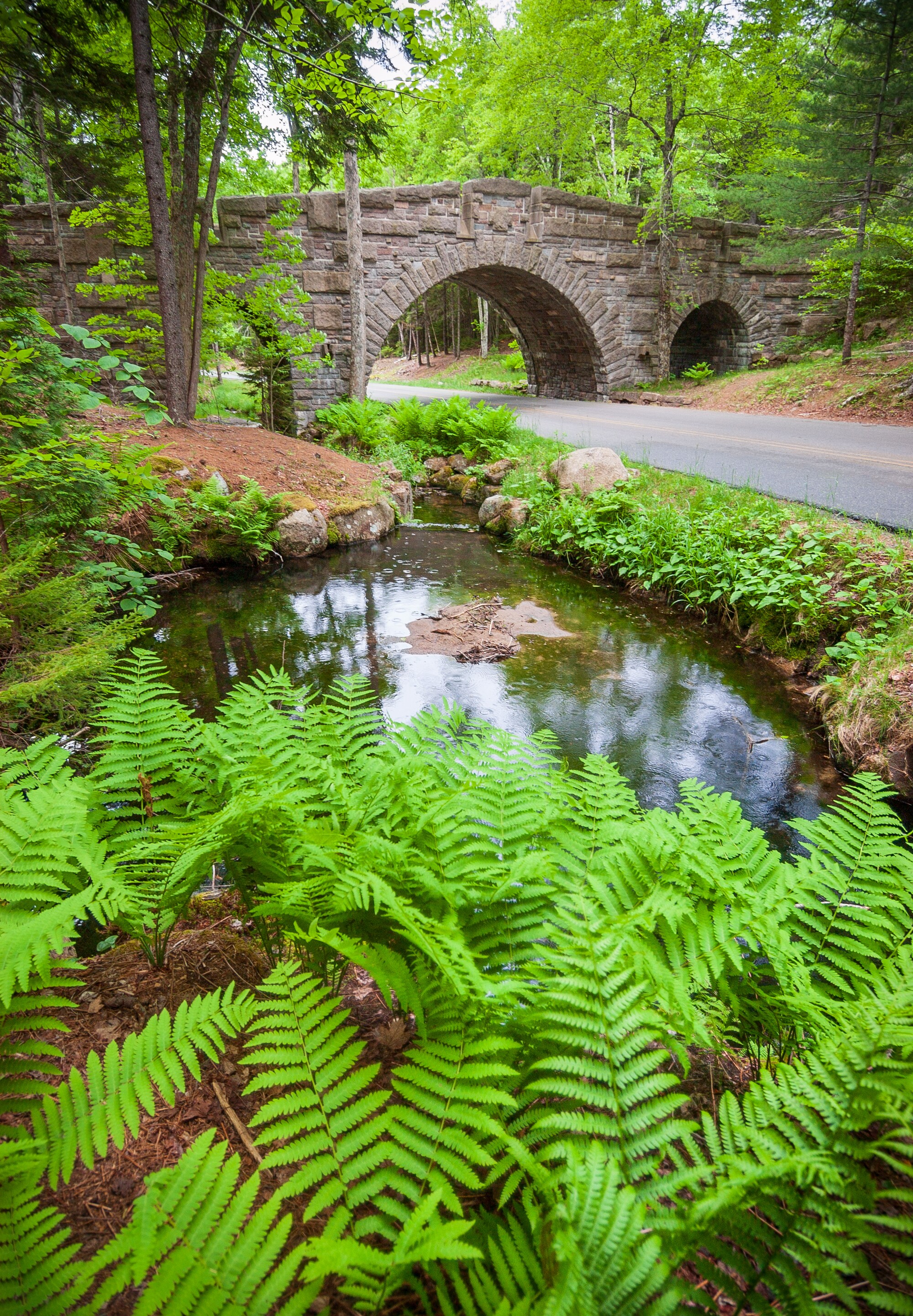 A stone bridge arches over a tranquil stream surrounded by lush green ferns and trees