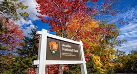 Sign for Acadia National Park stands amid vibrant autumn foliage