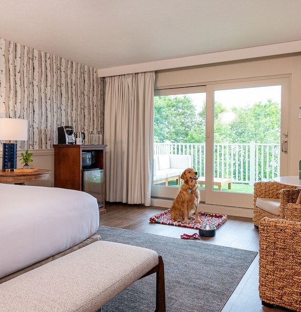 Pet-Friendly at The Bayview Hotel, Bar Harbor, Maine