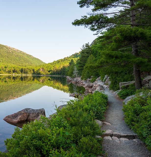 Cozy Meets Coastal Grandeur in Bar Harbor