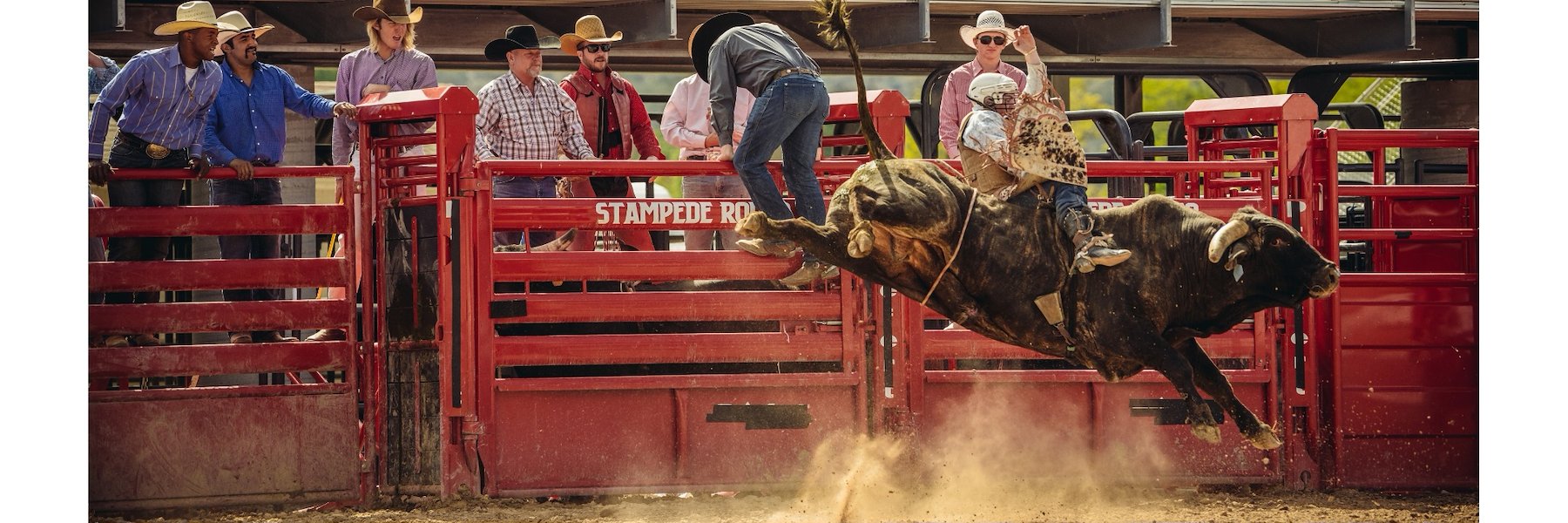 National Western Stock Show Package