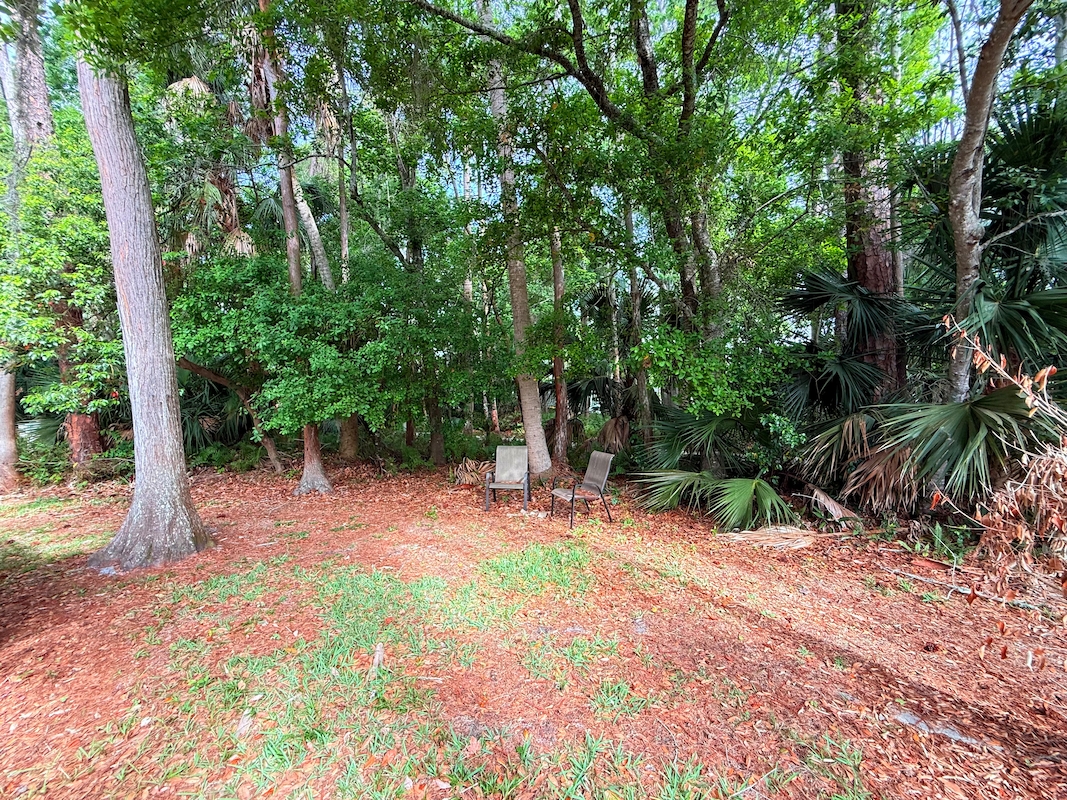 CIW Colony In The Wood