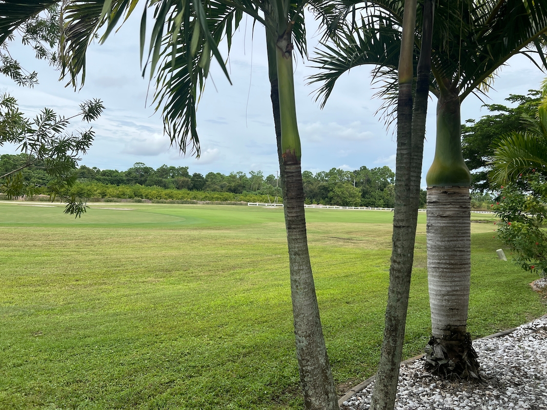 BHP Blue Heron Pines