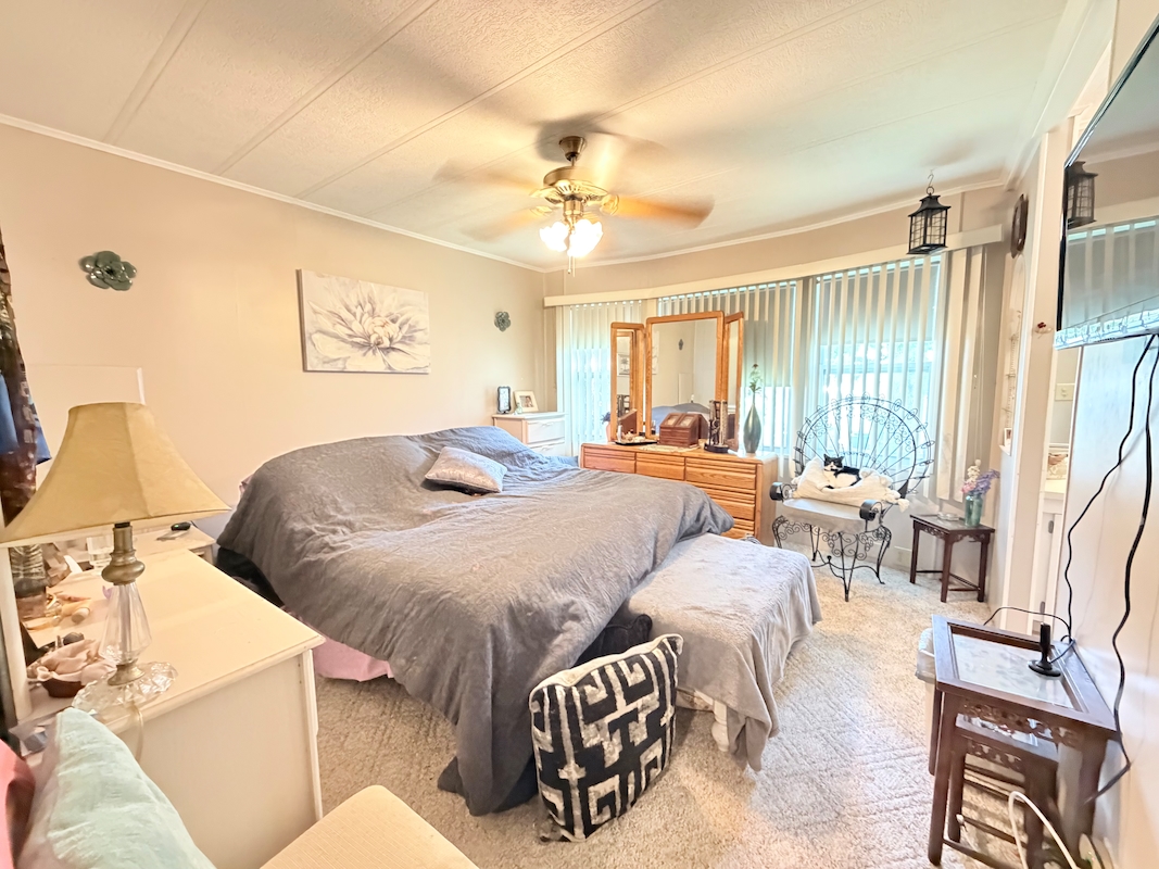 CIW Colony In The Wood