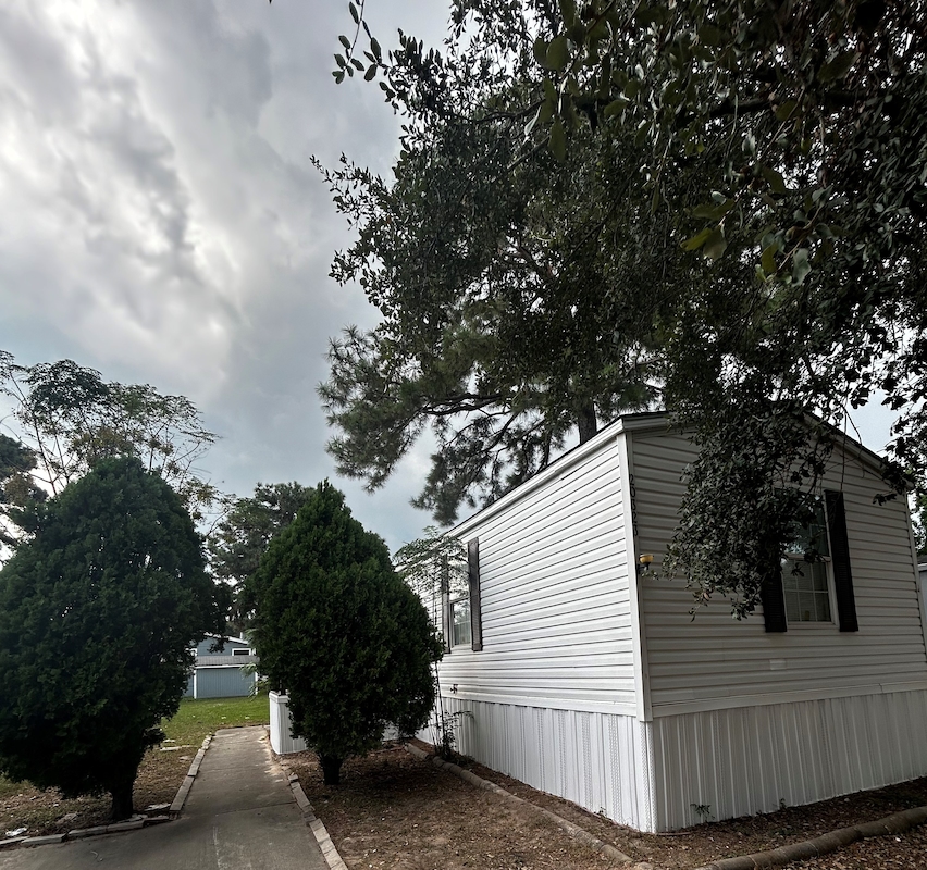 PNT Pine Trace