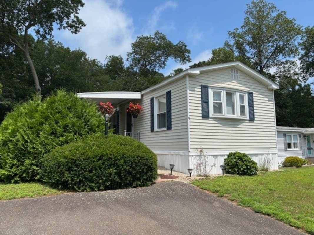 BWD Beechwood