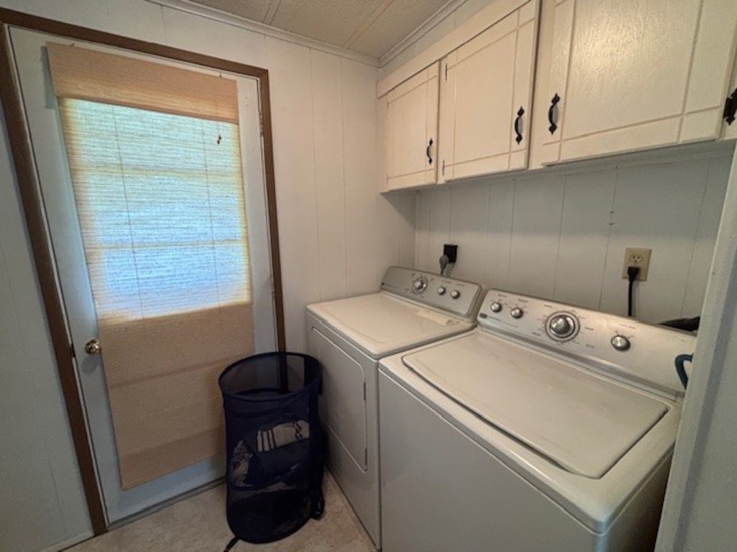 BWD Beechwood