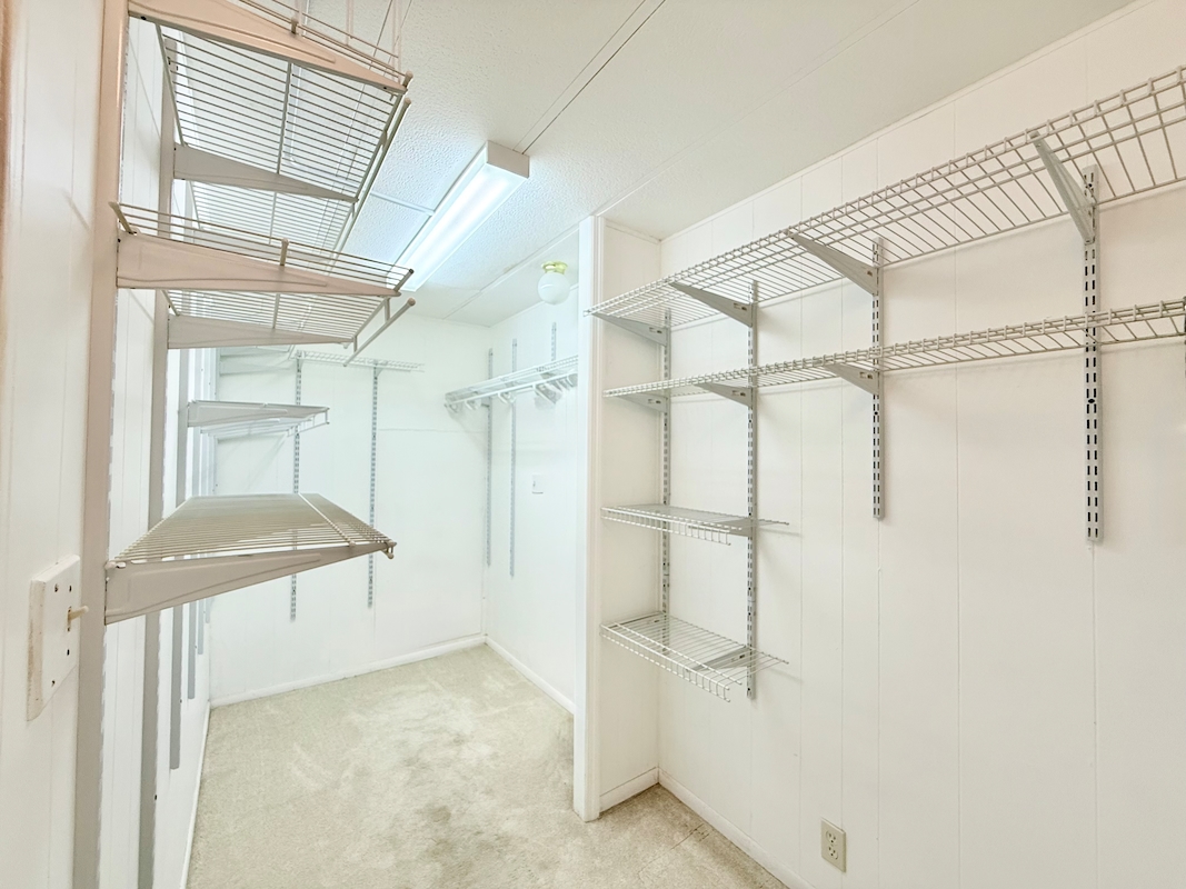 CIW Colony In The Wood