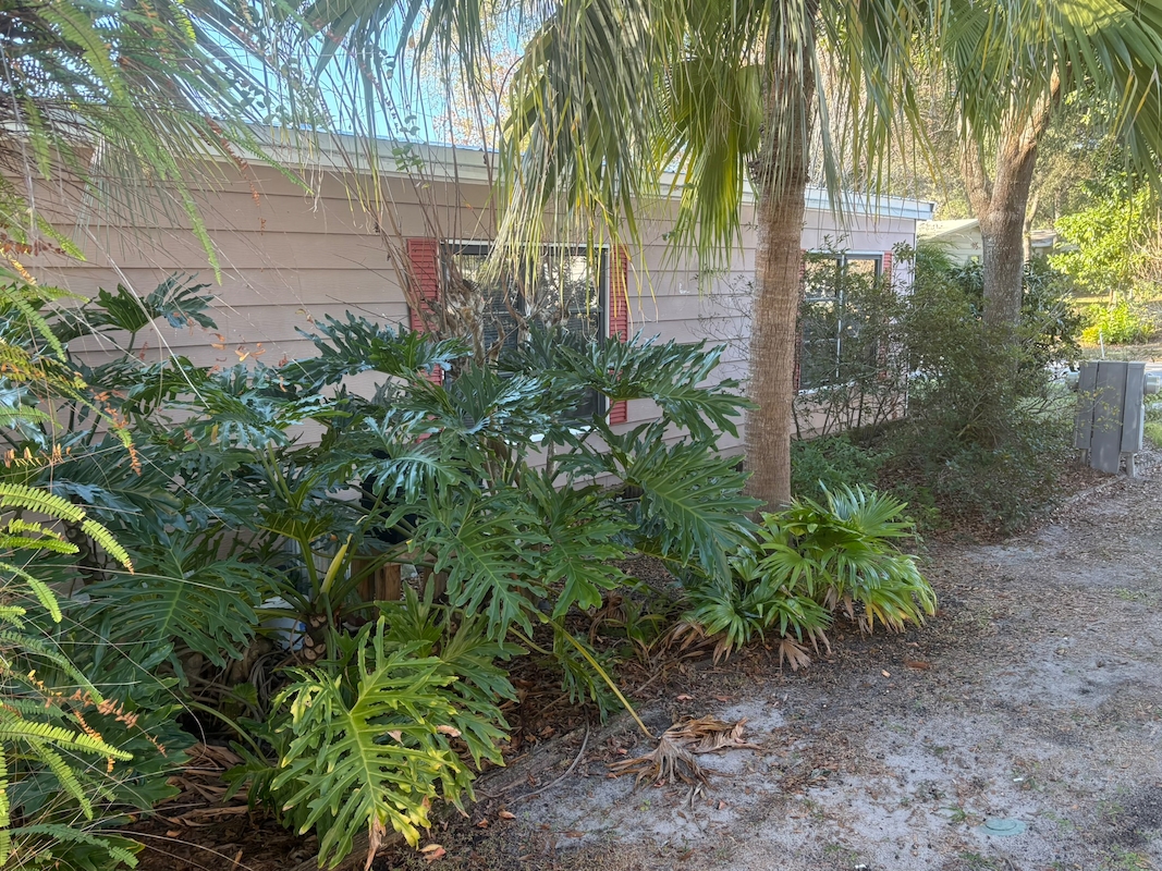 ORA Orange Tree Village