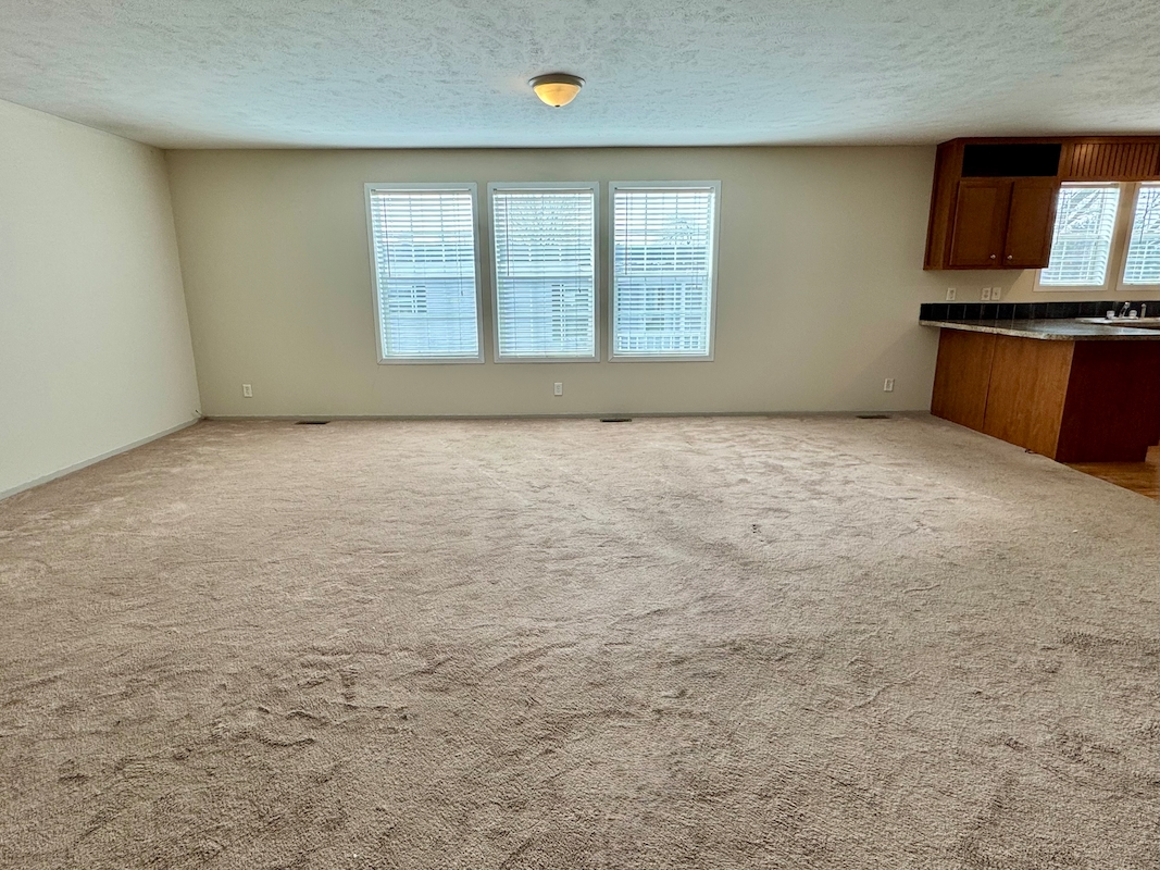 IDP Independence Commons