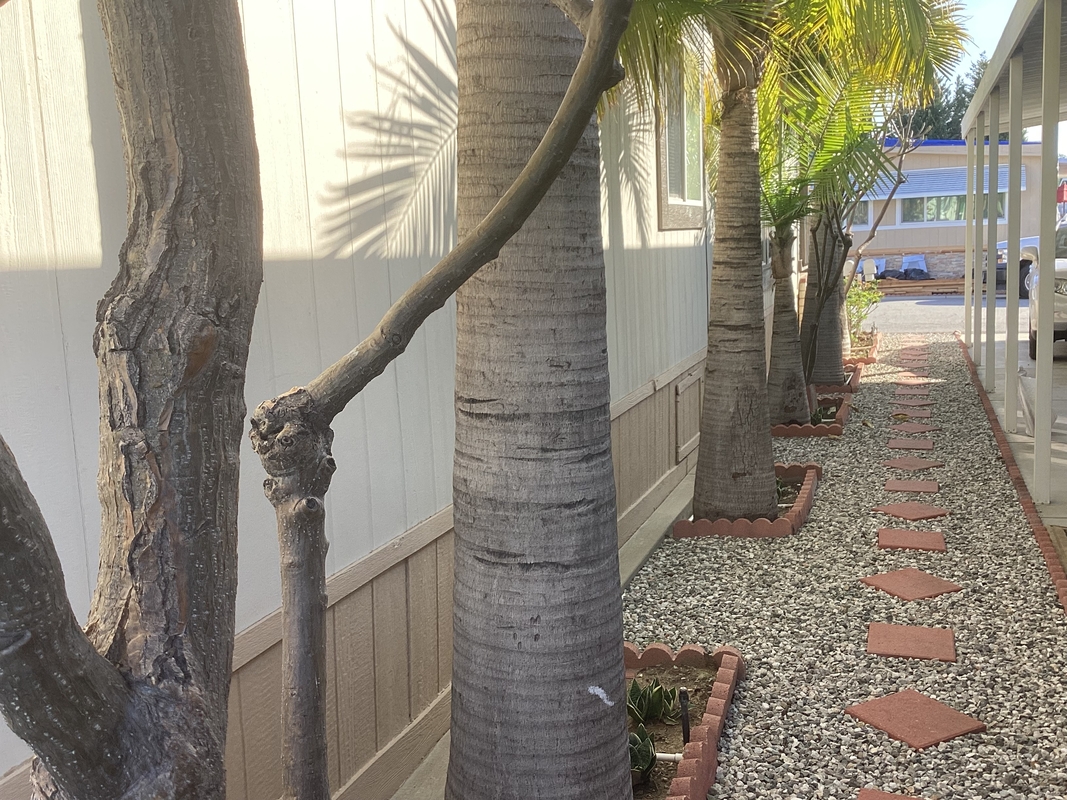 FVL Friendly Village of La Habra