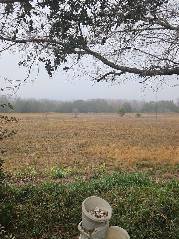 WMV Windmill Village