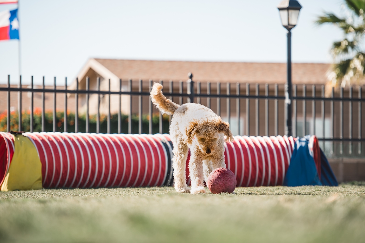 PCK Palm Creek Resort & Residences