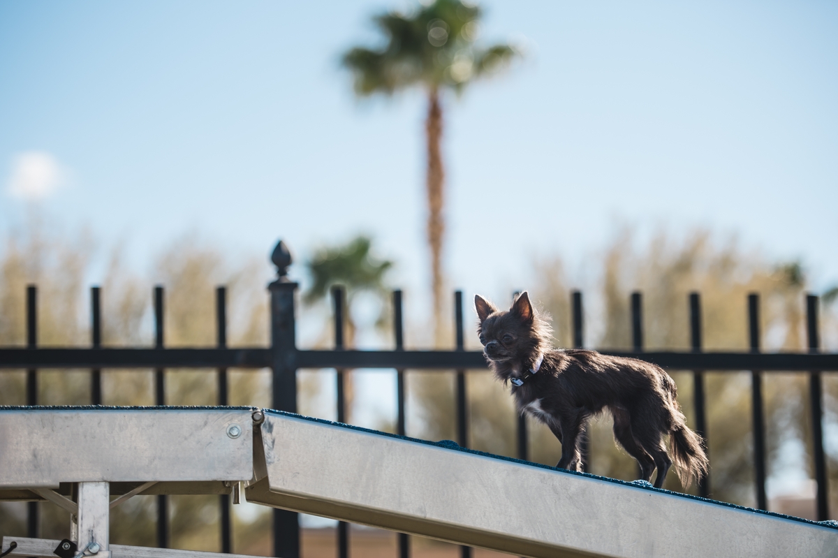 PCK Palm Creek Resort & Residences