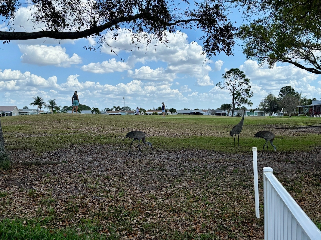 RSC Riverside Club Golf & Marina Community