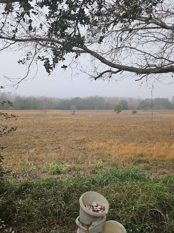 WMV Windmill Village