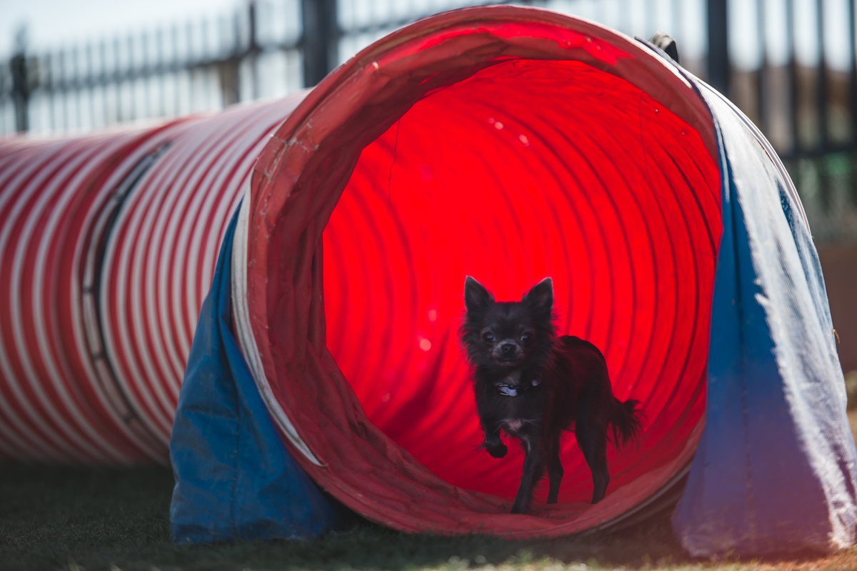 PCK Palm Creek Resort & Residences