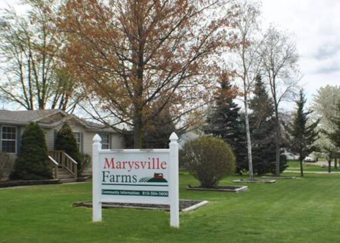 MVF Marysville Farms