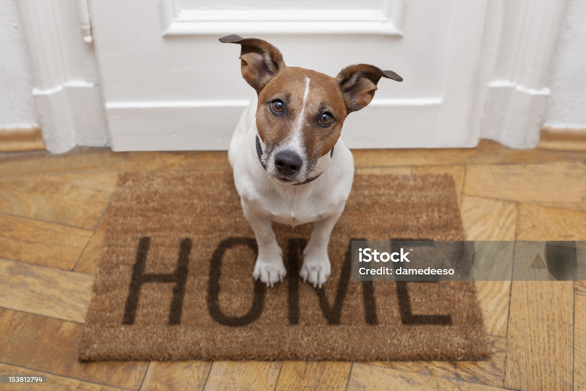 OIV Oak Island Village